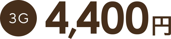 3G 4,400円